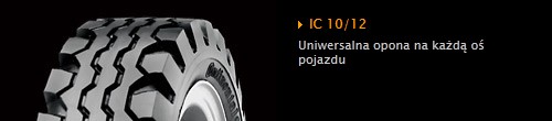 IC 10/12